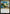 Storm the Vault // Vault of Catlacan [Rivals of Ixalan Prerelease Promos] - Magic: The Gathering - Card Brawlers | Quebec | Canada |