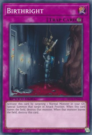 Birthright [SBC1-ENG18] Common - Yu-Gi-Oh! - Card Brawlers | Quebec | Canada |