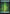 Forest [Judge Gift Cards 2023] - Magic: The Gathering - Card Brawlers | Quebec | Canada |