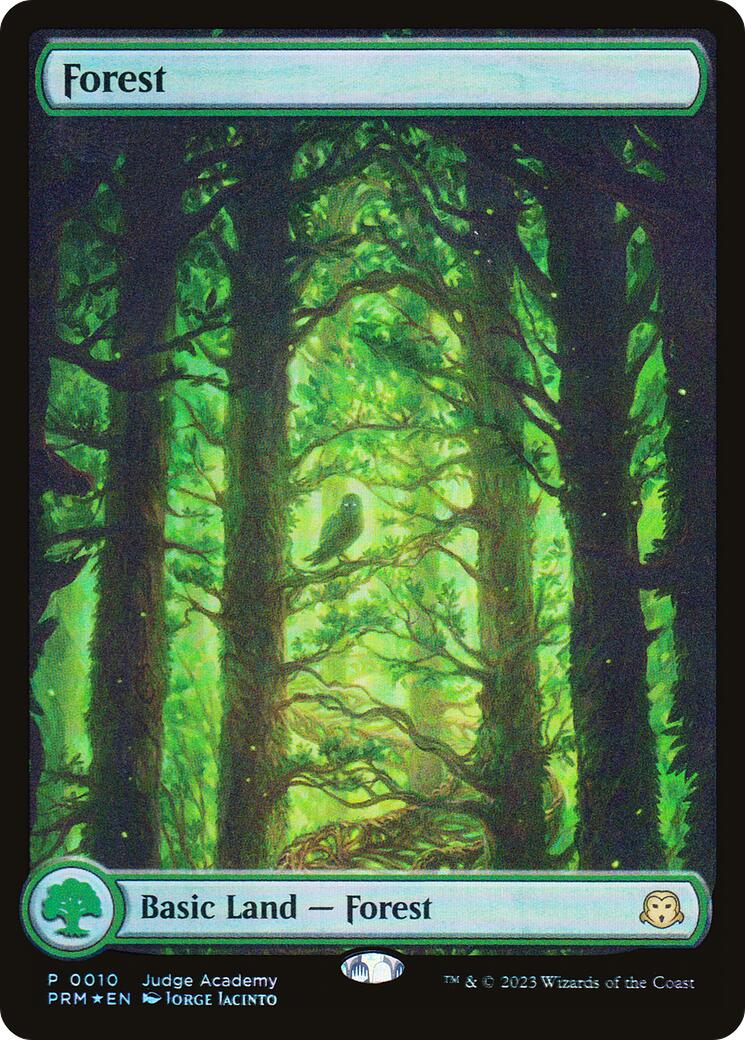 Forest [Judge Gift Cards 2023] - Magic: The Gathering - Card Brawlers | Quebec | Canada |