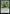 Blossoming Tortoise (Promo Pack) [Wilds of Eldraine Promos] - Magic: The Gathering - Card Brawlers | Quebec | Canada |