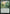 Thunderous Debut [Wilds of Eldraine Prerelease Promos] - Magic: The Gathering - Card Brawlers | Quebec | Canada |