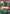 Roronoa Zoro - OP01-025 (Treasure Cup) (OP01-025) - One Piece Promotion Cards Foil
