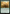 Snakeskin Veil [Foundations] - Magic: The Gathering - Card Brawlers | Quebec | Canada |