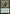 Greenwarden of Murasa (Promo Pack) [Battle for Zendikar Promos] - Magic: The Gathering - Card Brawlers | Quebec | Canada |