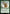Jamie McCrimmon (Surge Foil) [Doctor Who] - Magic: The Gathering - Card Brawlers | Quebec | Canada |