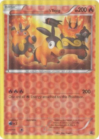 Tepig de _____ (carte Jumbo) [Cartes diverses] 