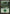 Forest (304) [Champions of Kamigawa] - Magic: The Gathering - Card Brawlers | Quebec | Canada |