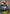 Gunner Maid Seria (PR-028EN) [Promotional Cards] - Bushiroad - Card Brawlers | Quebec | Canada |
