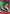 Roronoa Zoro (Gift Collection 2023) (ST01-013) - One Piece Promotion Cards Foil