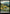 Plains // Plains [Jurassic World Collection] - Magic: The Gathering - Card Brawlers | Quebec | Canada |