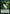 Egg // Aven Initiate Double-Sided Token [Double Masters 2022 Tokens] - Magic: The Gathering - Card Brawlers | Quebec | Canada |