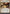 Cruel Ultimatum [Outlaws of Thunder Junction: Breaking News] - Magic: The Gathering - Card Brawlers | Quebec | Canada |
