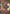 Ojer Pakpatiq, Deepest Epoch Art Card (13/81) (Gold-Stamped Signature) [The Lost Caverns of Ixalan Art Series] - Magic: The Gathering - Card Brawlers | Quebec | Canada |