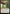 Palani's Hatcher (Promo Pack) [The Lost Caverns of Ixalan Promos] - Magic: The Gathering - Card Brawlers | Quebec | Canada |