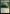 Restless Prairie (Promo Pack) [The Lost Caverns of Ixalan Promos] - Magic: The Gathering - Card Brawlers | Quebec | Canada |