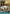 Kaido (118) (OP05-118) - Awakening of the New Era Foil