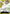 Enel (098) (OP05-098) - Awakening of the New Era