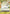 Two-Hundred Million Volts Amaru (OP05-115) - Awakening of the New Era Foil