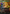 Shared Summons [Secret Lair Drop Series] - Magic: The Gathering - Card Brawlers | Quebec | Canada |