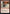 Shredded Sails [Jumpstart 2022] - Magic: The Gathering - Card Brawlers | Quebec | Canada |