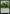 Phytotitan [Magic 2015] - Magic: The Gathering - Card Brawlers | Quebec | Canada |