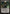 Sorin Markov [Zendikar] - Magic: The Gathering - Card Brawlers | Quebec | Canada |