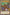 Inpachi [STAS-EN002] Common - Yu-Gi-Oh! - Card Brawlers | Quebec | Canada |