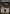 Swamp (36) [Duel Decks: Sorin vs. Tibalt] - Magic: The Gathering - Card Brawlers | Quebec | Canada |