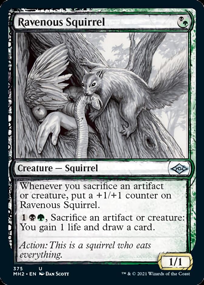 Ravenous Squirrel (Sketch) [Modern Horizons 2] - Magic: The Gathering - Card Brawlers | Quebec | Canada |