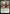 Selvala, Explorer Returned [Murders at Karlov Manor Commander] - Magic: The Gathering - Card Brawlers | Quebec | Canada |