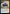 Kylox's Voltstrider (Promo Pack) [Murders at Karlov Manor Promos] - Magic: The Gathering - Card Brawlers | Quebec | Canada |