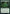 Fertilid [Jumpstart 2022] - Magic: The Gathering - Card Brawlers | Quebec | Canada |