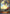 Draconic Smash (BP03-P19EN) [Flame of Laevateinn] - Bushiroad - Card Brawlers | Quebec | Canada |