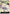 Fukurou (Tournament Pack Vol. 6) (OP03-088) - One Piece Promotion Cards