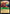 Cubby - Mighty Lost Boy (69/204) [Into the Inklands] - Card Brawlers | Quebec | Canada | Yu-Gi-Oh!