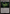 Leechridden Swamp [Duskmourn: House of Horror Commander] - Magic: The Gathering - Card Brawlers | Quebec | Canada |
