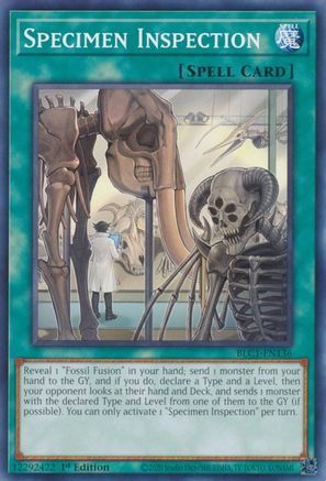 Specimen Inspection [BLC1-EN136] Common - Yu-Gi-Oh! - Card Brawlers | Quebec | Canada |