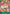 Scratchmen Apoo (Online Regional 2024) [Participant] (ST02-008) - One Piece Promotion Cards Foil