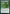 Gnarled Professor (Promo Pack) [Strixhaven: School of Mages Promos] - Magic: The Gathering - Card Brawlers | Quebec | Canada |