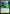 Tribute to the Wild [Commander Anthology] - Magic: The Gathering - Card Brawlers | Quebec | Canada |