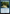 Dramatic Reversal [Avatar: The Last Airbender: Eternal-Legal] - Magic: The Gathering - Card Brawlers | Quebec | Canada |
