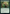 Elven Ambush [Game Night: Free-for-All] - Magic: The Gathering - Card Brawlers | Quebec | Canada |
