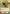 Snapshot Reflexes (Hyperspace) (477) [Spark of Rebellion] - Fantasy Flight Games - Card Brawlers | Quebec | Canada |