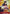 Monkey.D.Luffy (001) (Offline Regional 2024 Vol. 2) [Winner] (P-001) - One Piece Promotion Cards Foil