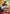 Monkey.D.Luffy (001) (Online Regional 2024 Vol. 2) [Participant] (P-001) - One Piece Promotion Cards Foil