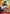 Monkey.D.Luffy (001) (Online Regional 2024 Vol. 2) [Finalist] (P-001) - One Piece Promotion Cards Foil