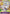 Monkey.D.Luffy (041) (Online Regional 2024 Vol. 2) [Finalist] (P-041) - One Piece Promotion Cards Foil