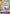 Monkey.D.Luffy (041) (Offline Regional 2024 Vol. 2) [Winner] (P-041) - One Piece Promotion Cards Foil