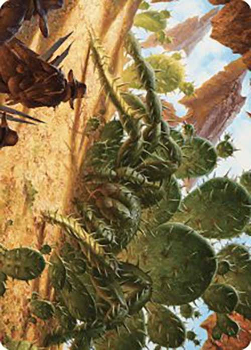 Cactarantula Art Card [Outlaws of Thunder Junction Art Series] - Magic: The Gathering - Card Brawlers | Quebec | Canada |